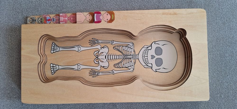 Drewniana układanka edukacyjna Ciało, anatomia człowieka- dziewczynka