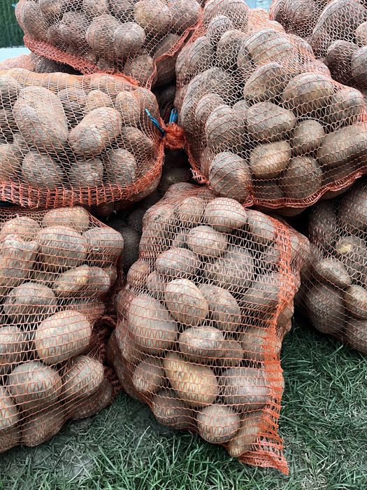 Ziemniaki Jurek worki 15kg