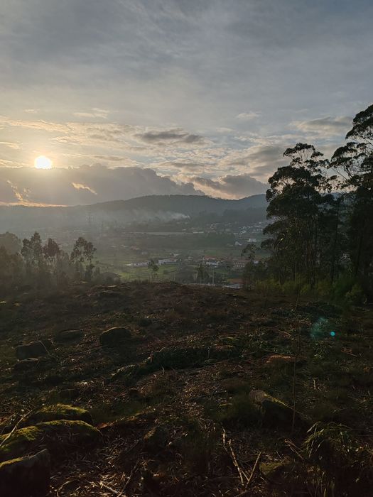 Terreno 4 Hetares Alugo/troco