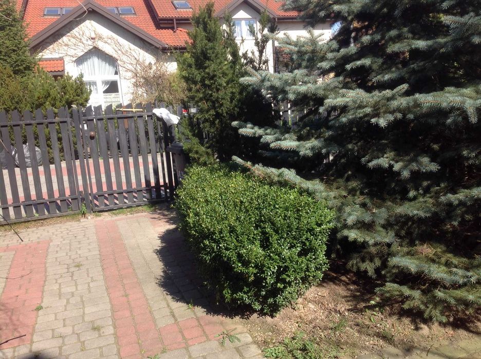 Wynajmę segment od 1.09.2026r. w Grodzisku Mazowieckim