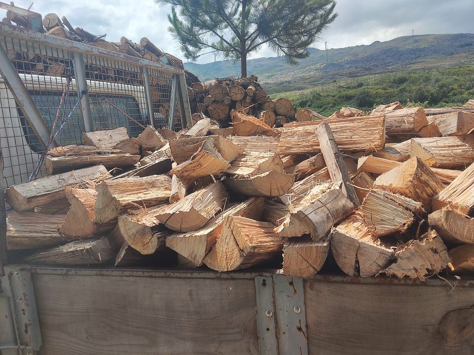 Venda de lenha seca