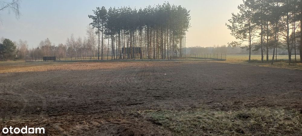 Działka w otoczeniu natury–przestrzeń, cisza 21 ar.Domatków-Zagranicze