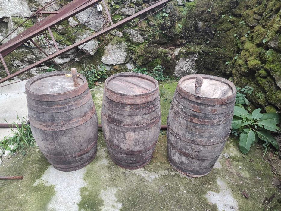 Pipos antigos em bom estado