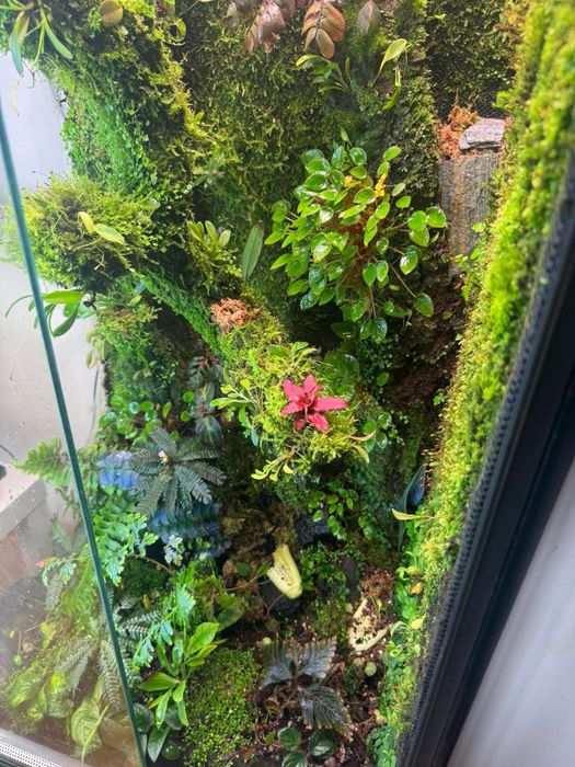 Paludarium terrarium 150x50x50