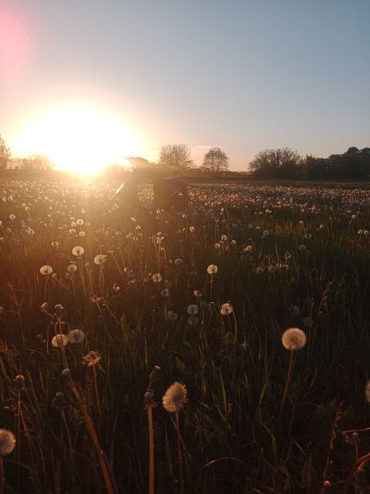 Скутер Хонда діо 17) 65 кубіків нова поршнева