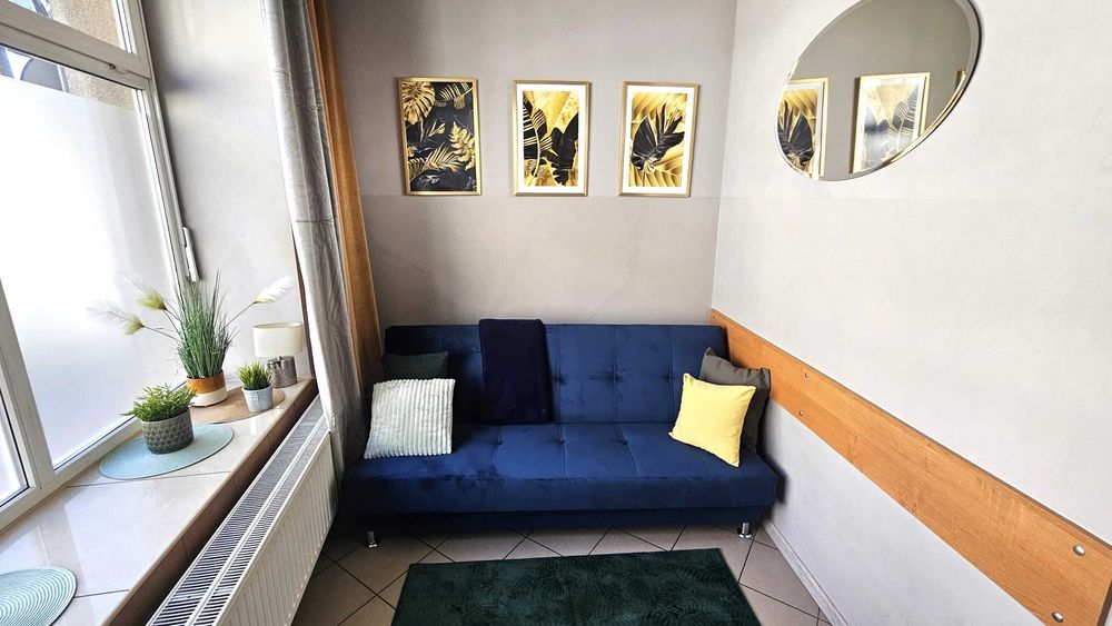 Mieszkanie w centrum miasta do wynajęcia.