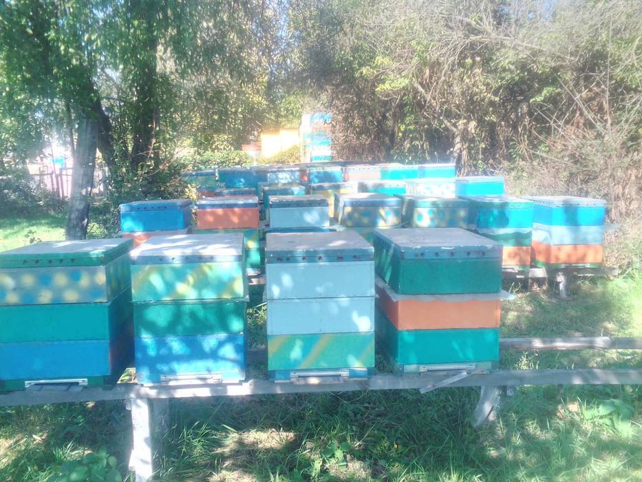 Продам улья  из ДВП и пенопласта.