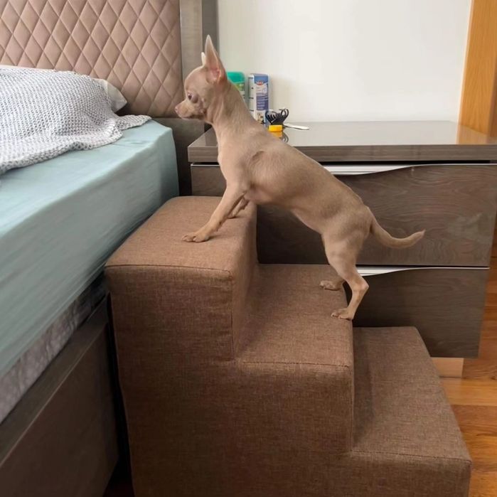 Драбинка для собак та котиків/ сходинки для тварин