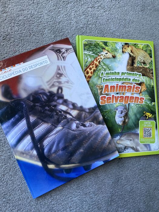 Enciclopédia do desporto