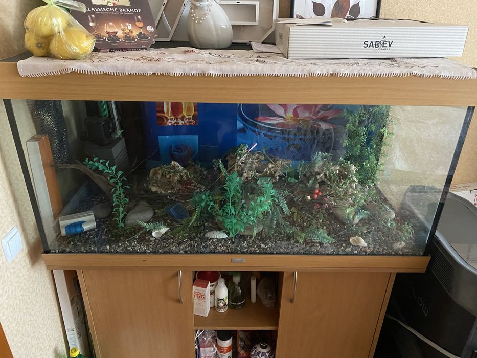 Продам фирменный акквариум JUWEL+ тумба + всё необходимое