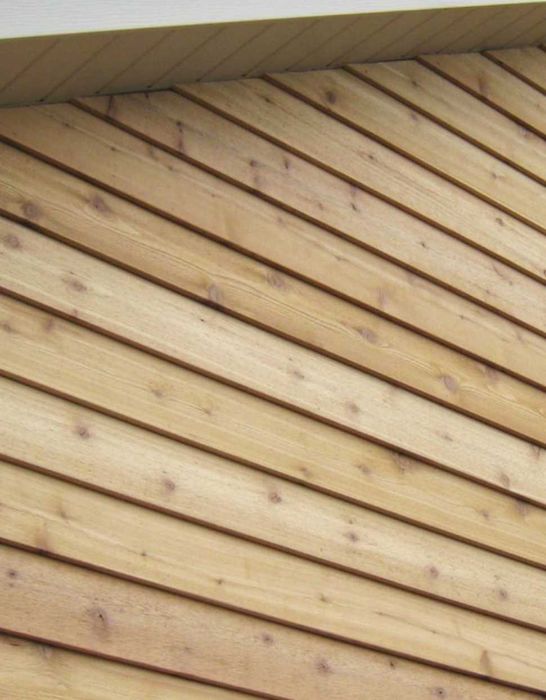 Планкен у Харкові