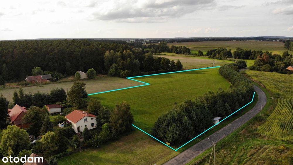 Sprzedam działkę budowlaną 16 000 m² w Działoszy gm. Syców