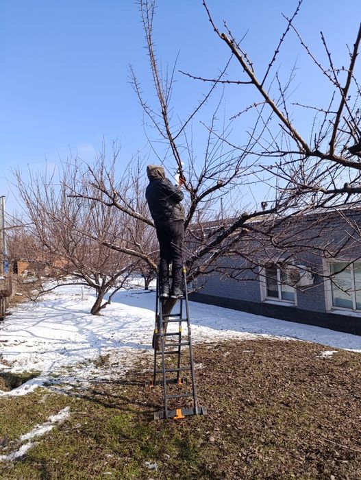 Уборка участка под ключ, покос травы, спил деревьев, корчевка пней