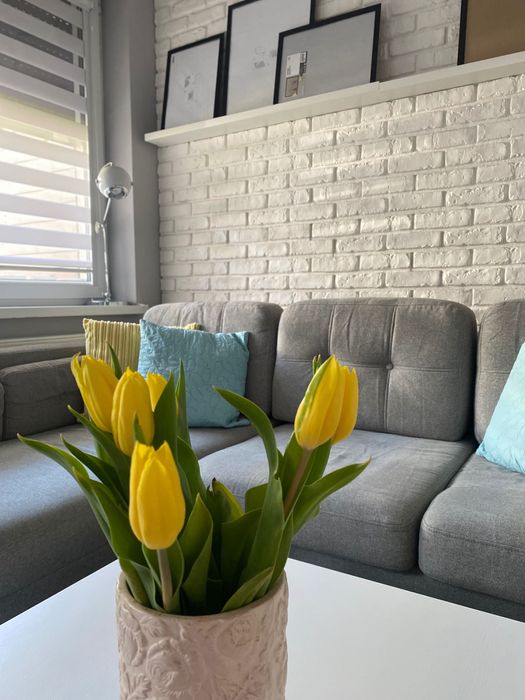 2 pokojowe mieszkanie na wynajem - os.Górne