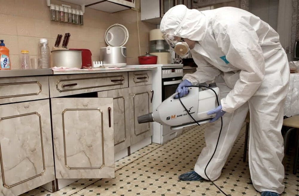 Комплексна обробка приміщень від шкідників — Працюємо офіційно