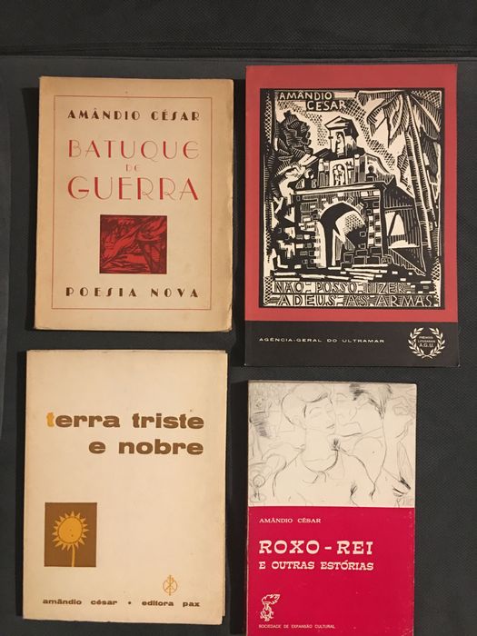 Obras de Amândio César