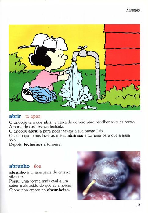 O dicionário do Charlie Brown (13 livros)