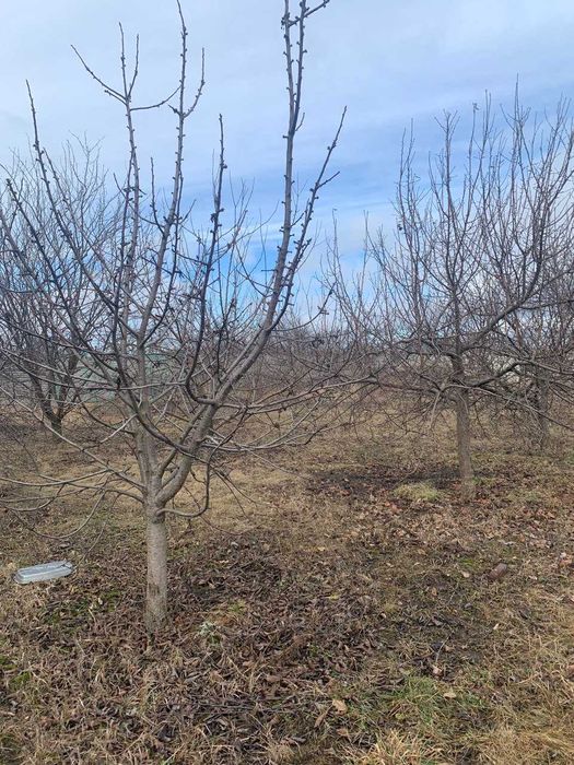 Продам дом 2020 г с теплым подвалом Котляры  Безлюдовское направл Т