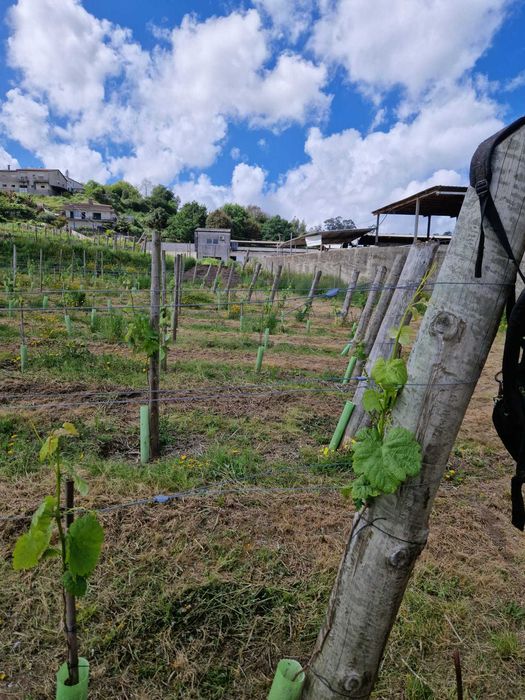 Postes de madeira tratada