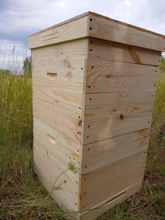 Вулик Дадан, улья Дадан