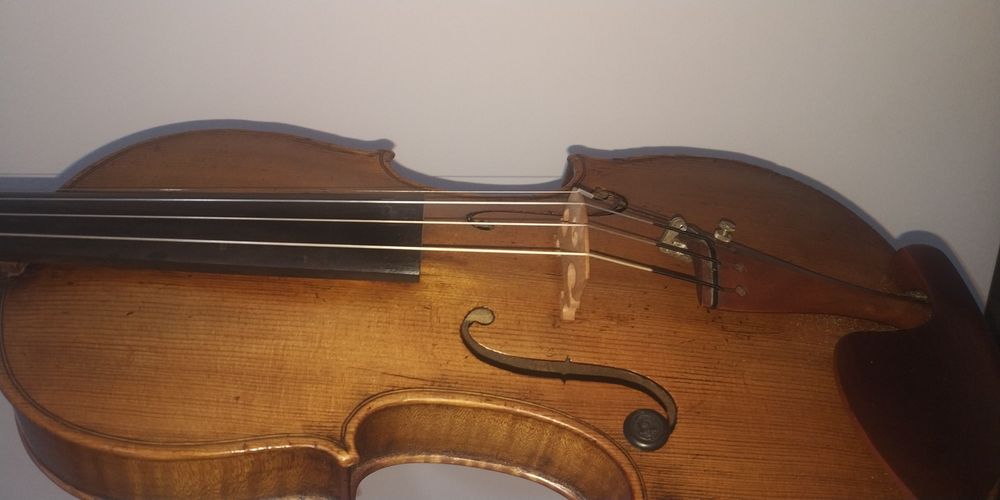 Violino Paolo Leonori