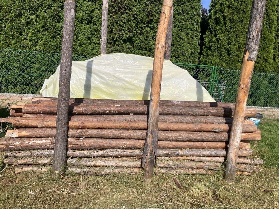 Stemple budowlane drewniane długie ok 80 sztuk