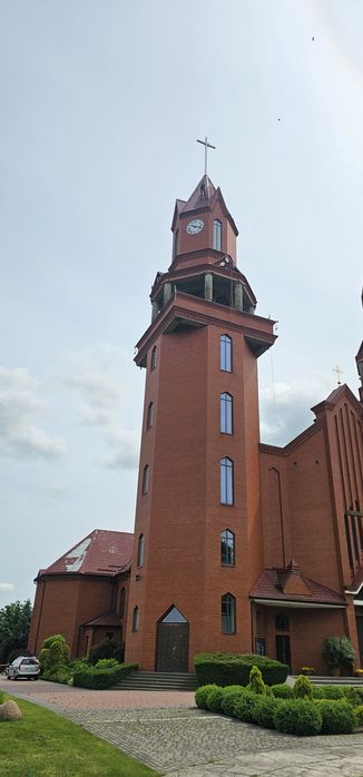 Malowanie Dachów, Konstrukcji, Rozbiórka, Arborysta, Wycinka drzew