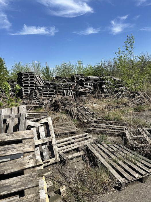 Безкоштовно віддамо дрова / деревину / старі палети — самовивіз