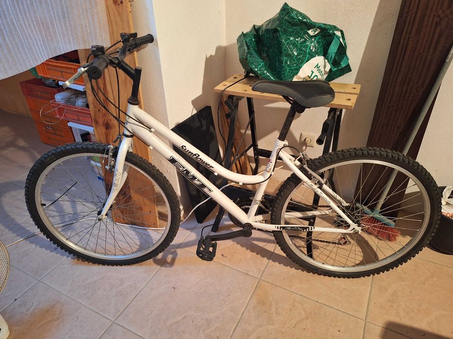 Bicicleta adulto btt
