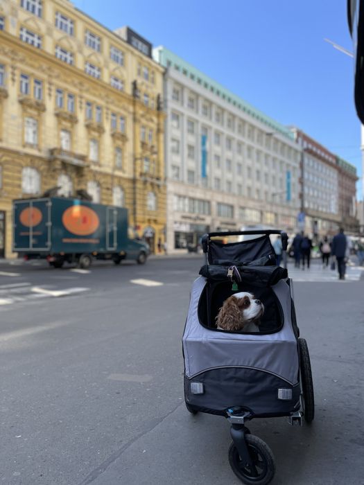 Wózek dla psa Triexie M, do 30 kg.