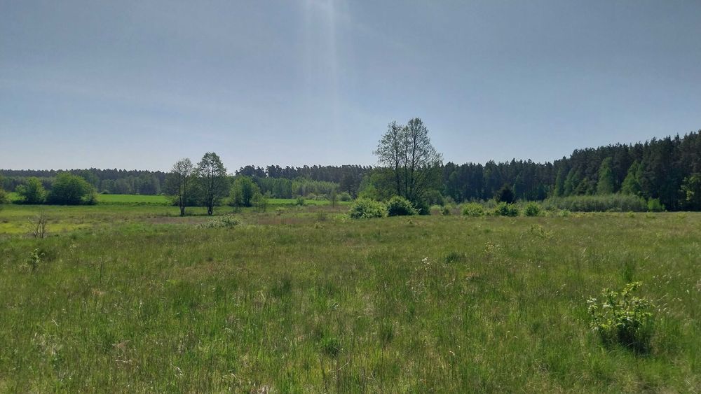 piękna działka pod budowę na Mazurach w okolicy las i jeziora