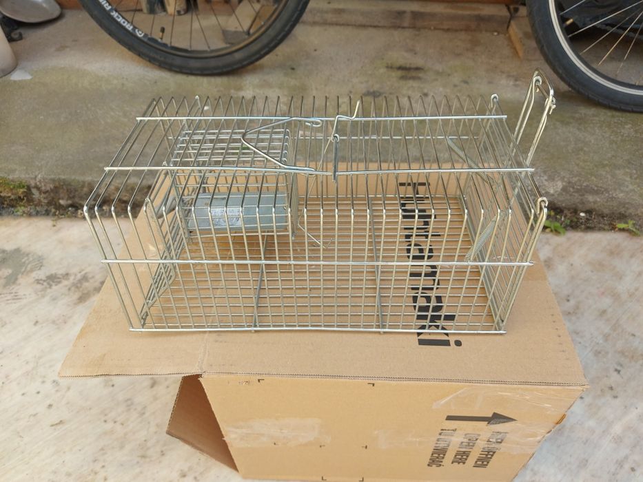 Armadilha para capturar ratos, ratazanas e outros roedores.