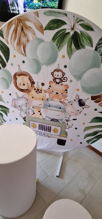 Decoração Safari para alugar