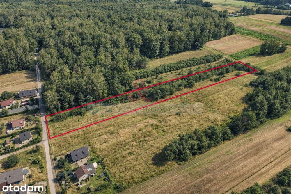 Działka budowlana dodatkowo z terenem leśnym 2010m