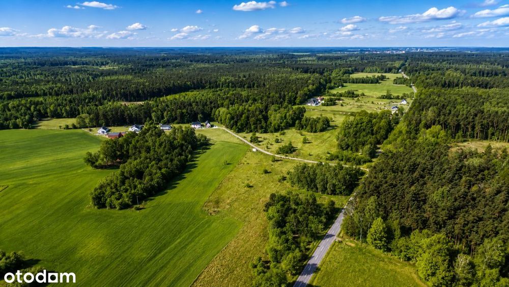 Działka budowlana 2660 m² przy lesie | Mpzp | Med – pohled 5