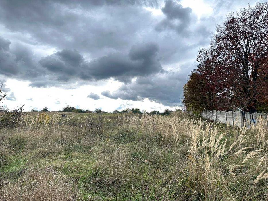 Продаж 25 соток з електрикою вул. Шевченка