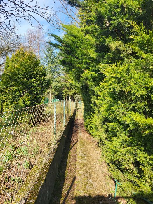Przestronny ogródek działkowy ROD 625 m², z domkiem i przyłączami