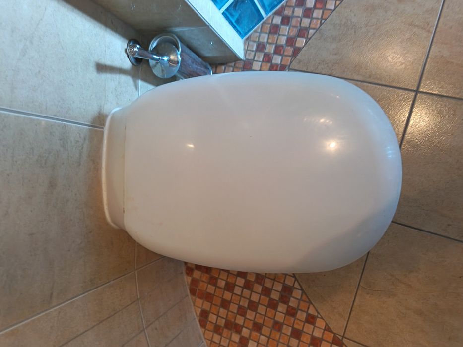 Sedes muszla podwieszana duża KOŁO