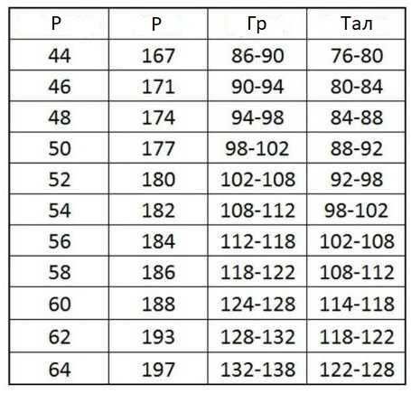 Спецодяг напівкомбінезон робочий ARTMAS PROF B Сірий Польща Є РОЗМІРИ