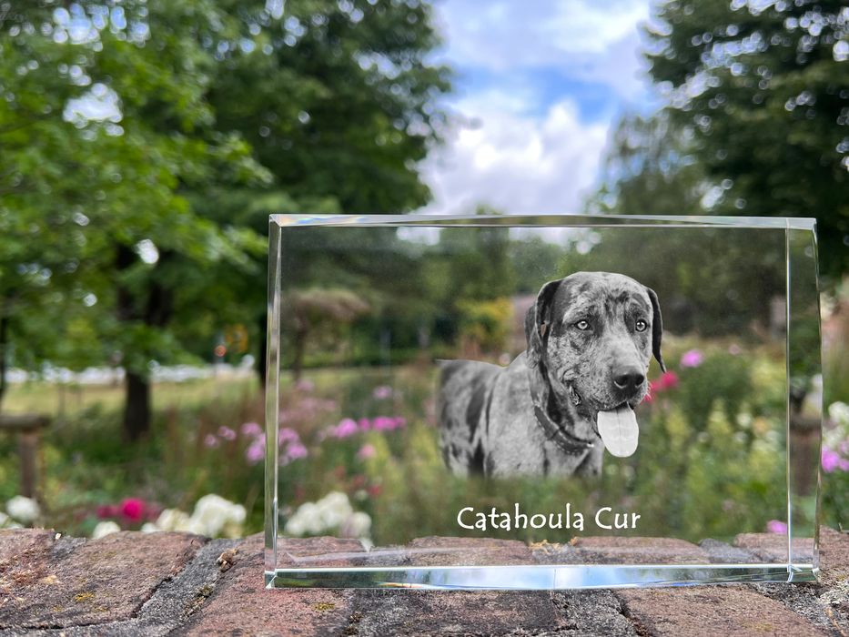 Catahoula Leopard Dog kryształ z psem Art-Dog