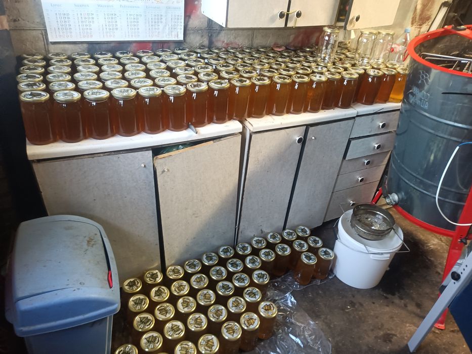 Pasieka Uhruska miód 2025 roku