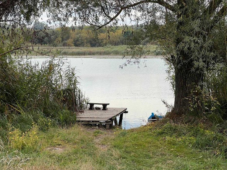 Будинок,Вільшана,земельна ділянка