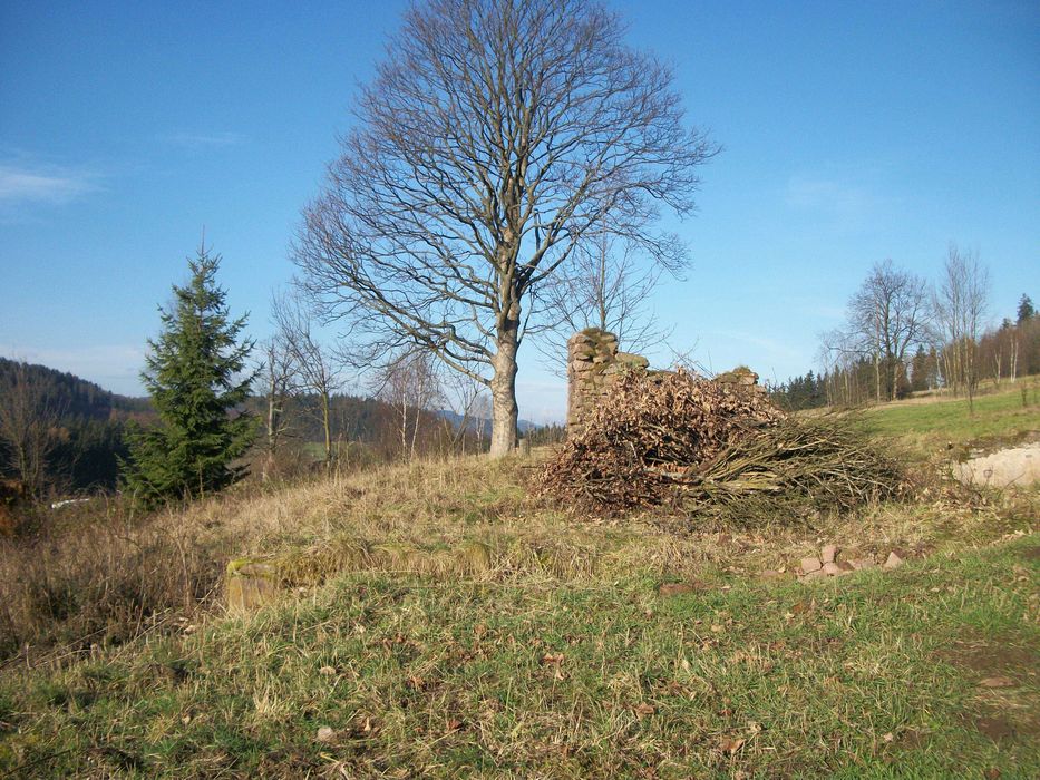 działka  w Bartnicy na sprzedaż