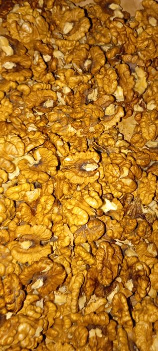 Грецкий орех, урожай 2025 г.