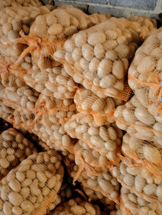 Ziemniaki Soraya jadalne