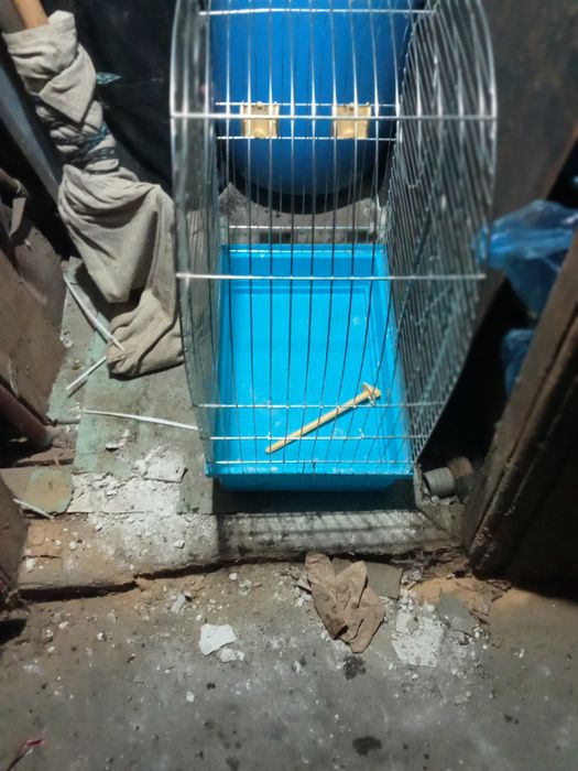 Клітка для середніх попуг вживана.