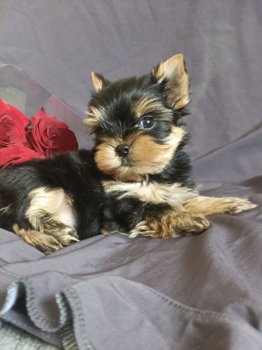 Неймовірно крутезний хлопчик