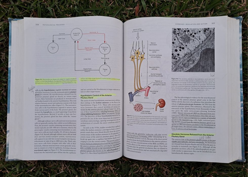 Livro: Animal Fysiology