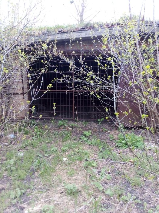 Подвал для хранения саженцов и другого.