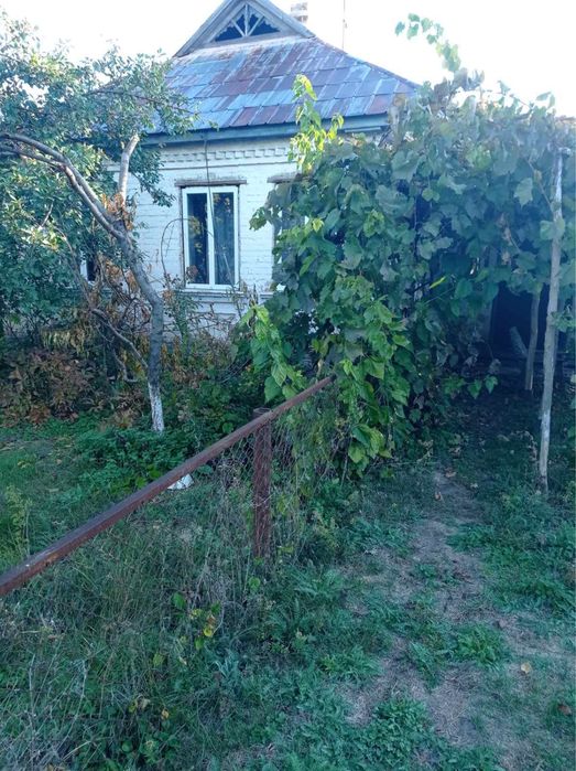 Продаж будинку в с.Веселе
